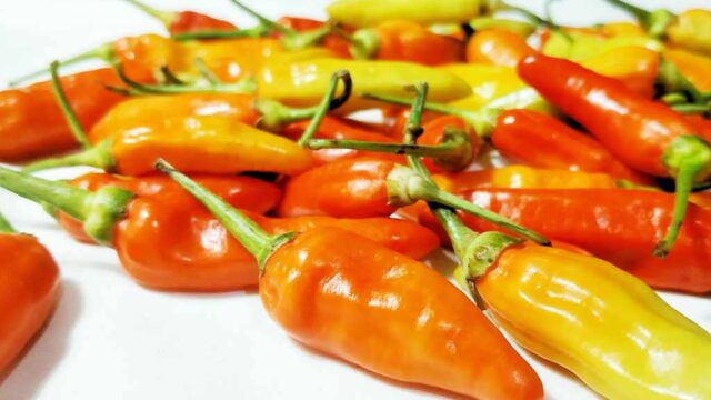 aji-dulce-del-valle-huerta-luz-de-vida-1-1.jpg