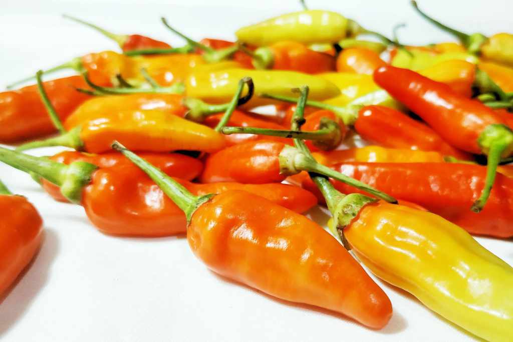 aji-dulce-del-valle-huerta-luz-de-vida-1-1.jpg