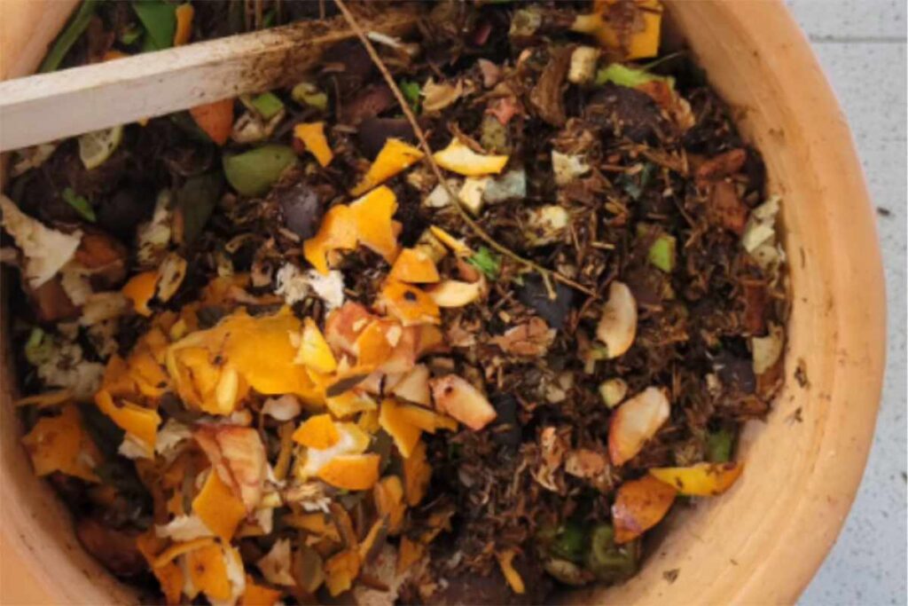 cascara-1-1.jpg