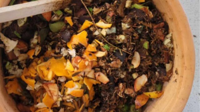 cascara-1-1.jpg