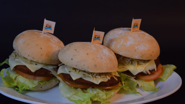veggie-burguer-3-1.jpg
